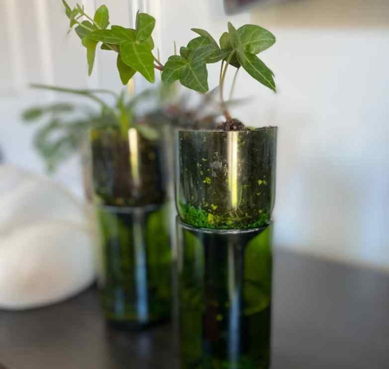 Self Watering Wine Bottle Planter – Recycled Glass Plant Pot
