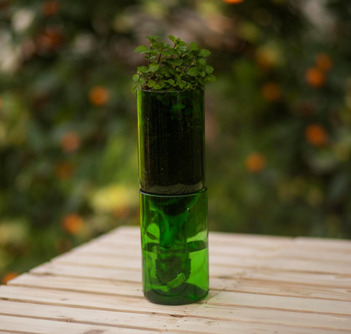 Load image into Gallery viewer, Self Watering Wine Bottle Planter – Recycled Glass Plant Pot

