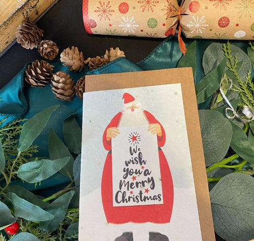 Load image into Gallery viewer, Plantable Christmas Cards A6 - 5 Multi Design
