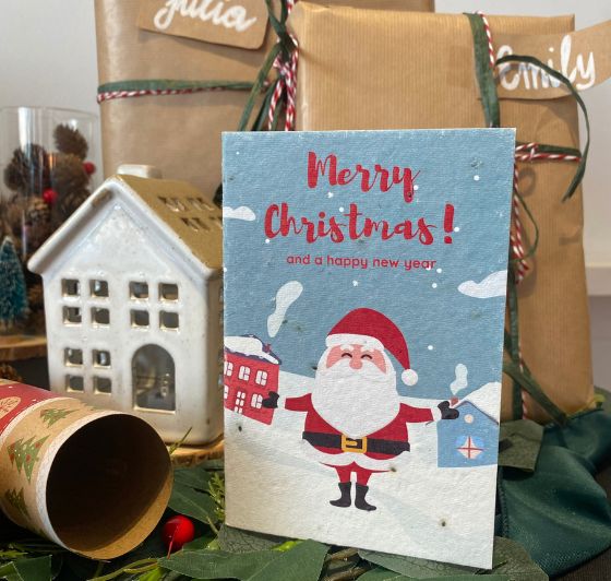 Plantable Christmas Cards A6 - 5 Multi Design