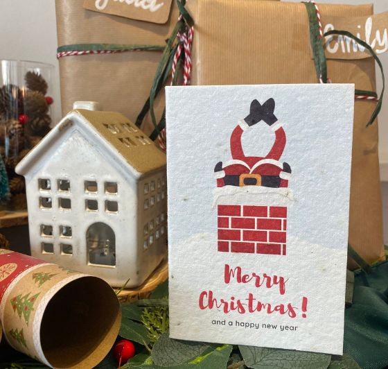Plantable Christmas Cards A6 - 5 Multi Design