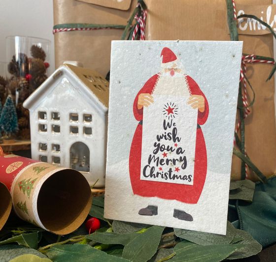 Plantable Christmas Cards A6 - 5 Multi Design