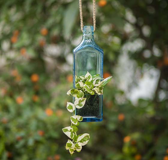 Sapphire Bottle Planter (Hanging)