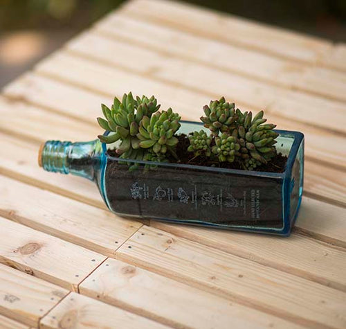 Load image into Gallery viewer, Sustainable Sapphire Bottle Planter Table Top
