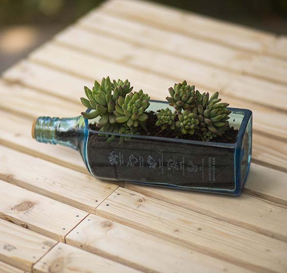 Sustainable Sapphire Bottle Planter Table Top