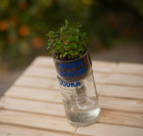 Load image into Gallery viewer, Reverse Osmosis Bottle Planter

