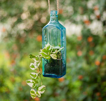 Sapphire Bottle Planter (Hanging)
