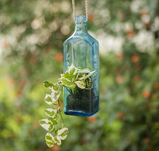 Sapphire Bottle Planter (Hanging)