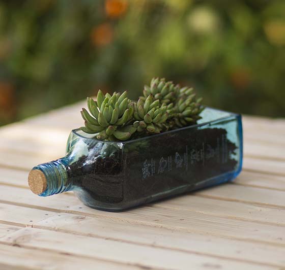 Hand Crafted Sapphire Bottle Planter Table Top 