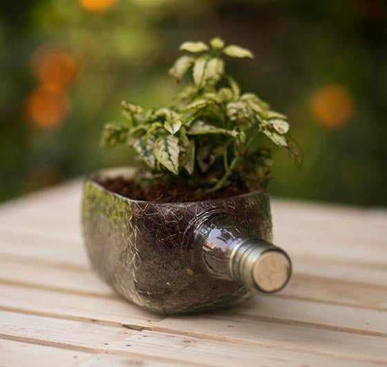 Hand Crafted Rum Bottle Planter Table Top
