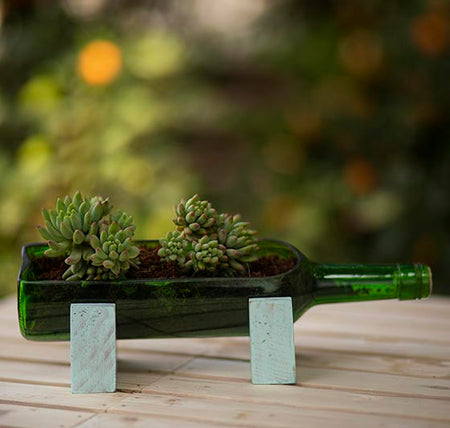 Wine Stand-Up Bottle Planter - Sea Green