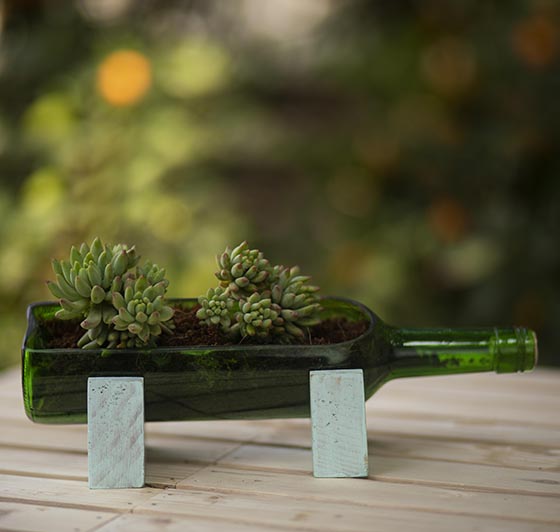 Wine Stand-Up Bottle Planter - Sea Green