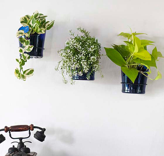 Antiquity Bottle Planters with Iron Stand – Set of 3